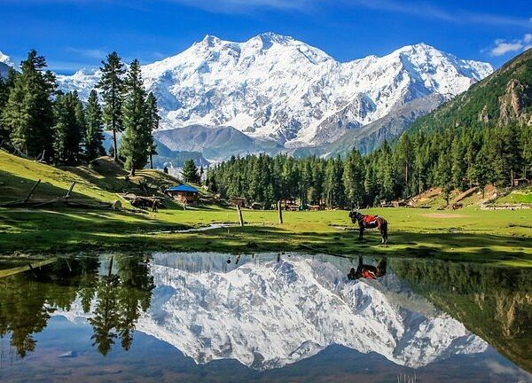 Fairy Meadows